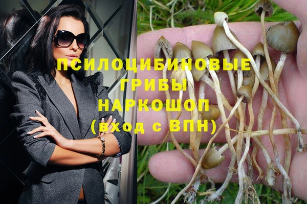 каннабис Баксан