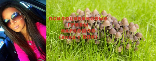 каннабис Баксан