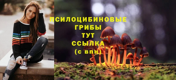 каннабис Баксан